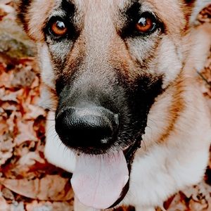 Meet your Posher, Miriam